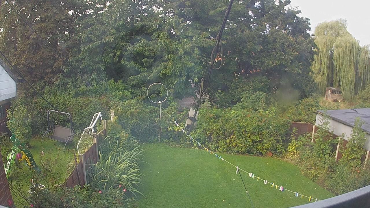 20260905_082212_cam1.jpg