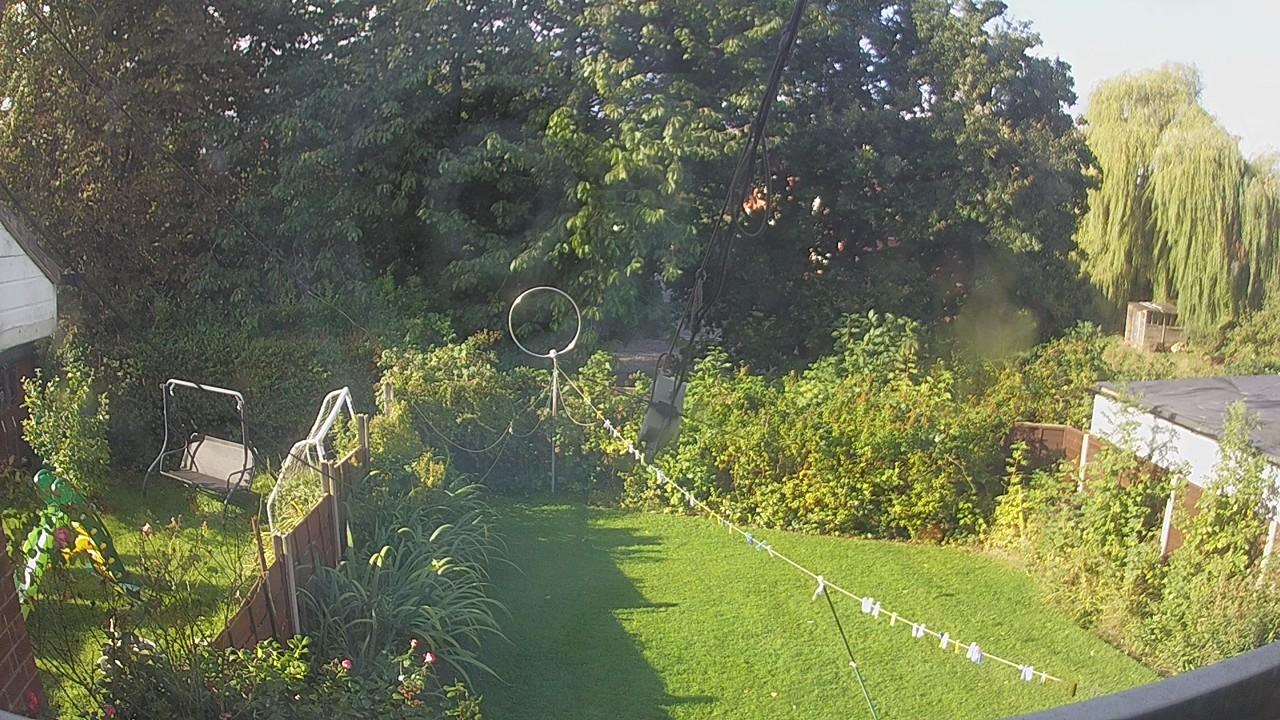 20260905_082553_cam1.jpg