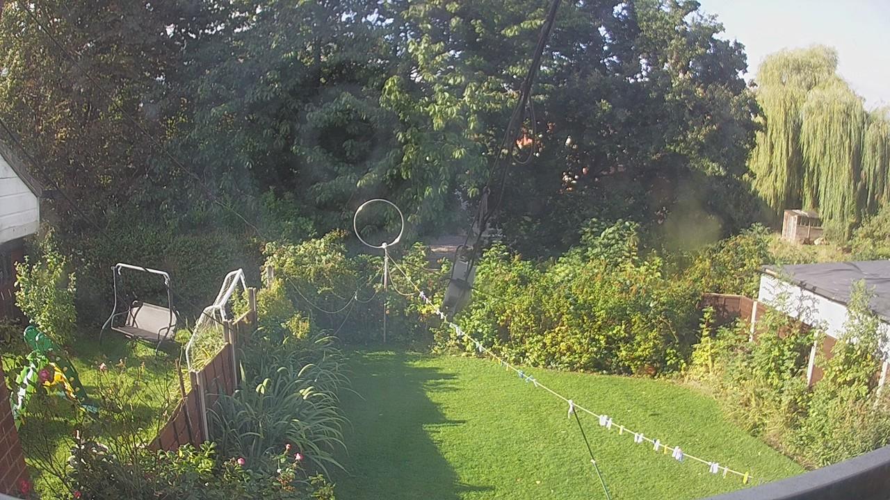 20260905_082936_cam1.jpg