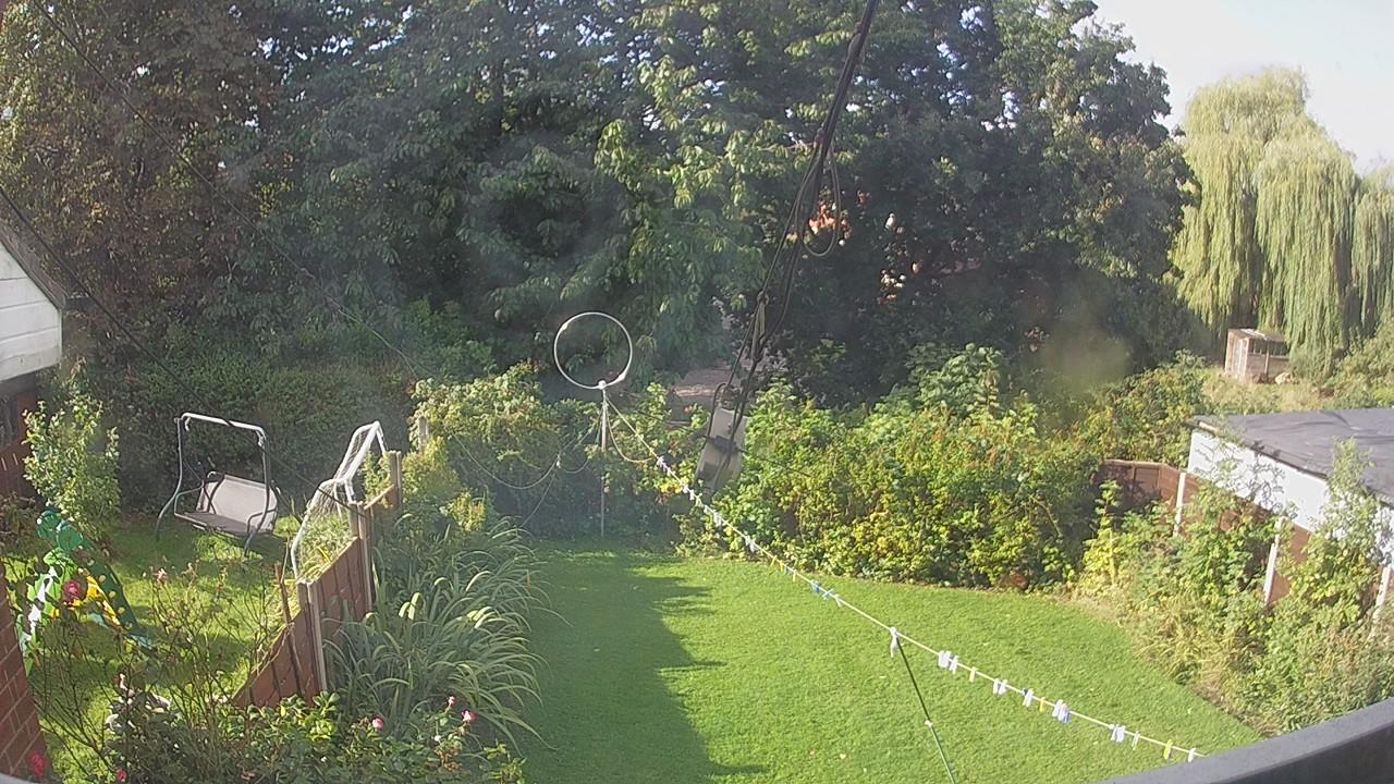 20260905_083327_cam1.jpg