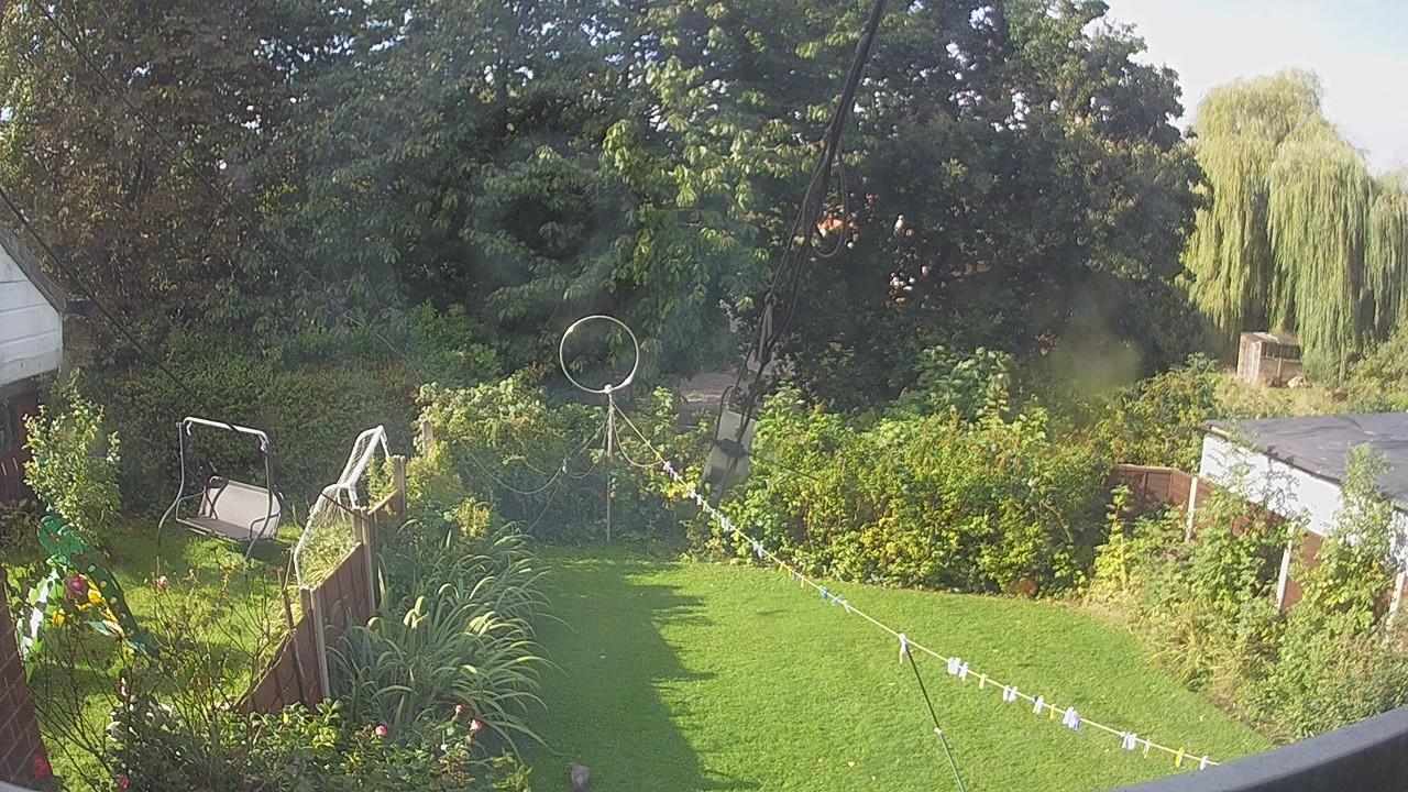 20260905_084108_cam1.jpg
