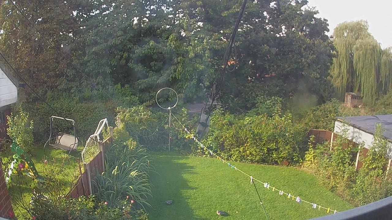 20260905_084458_cam1.jpg