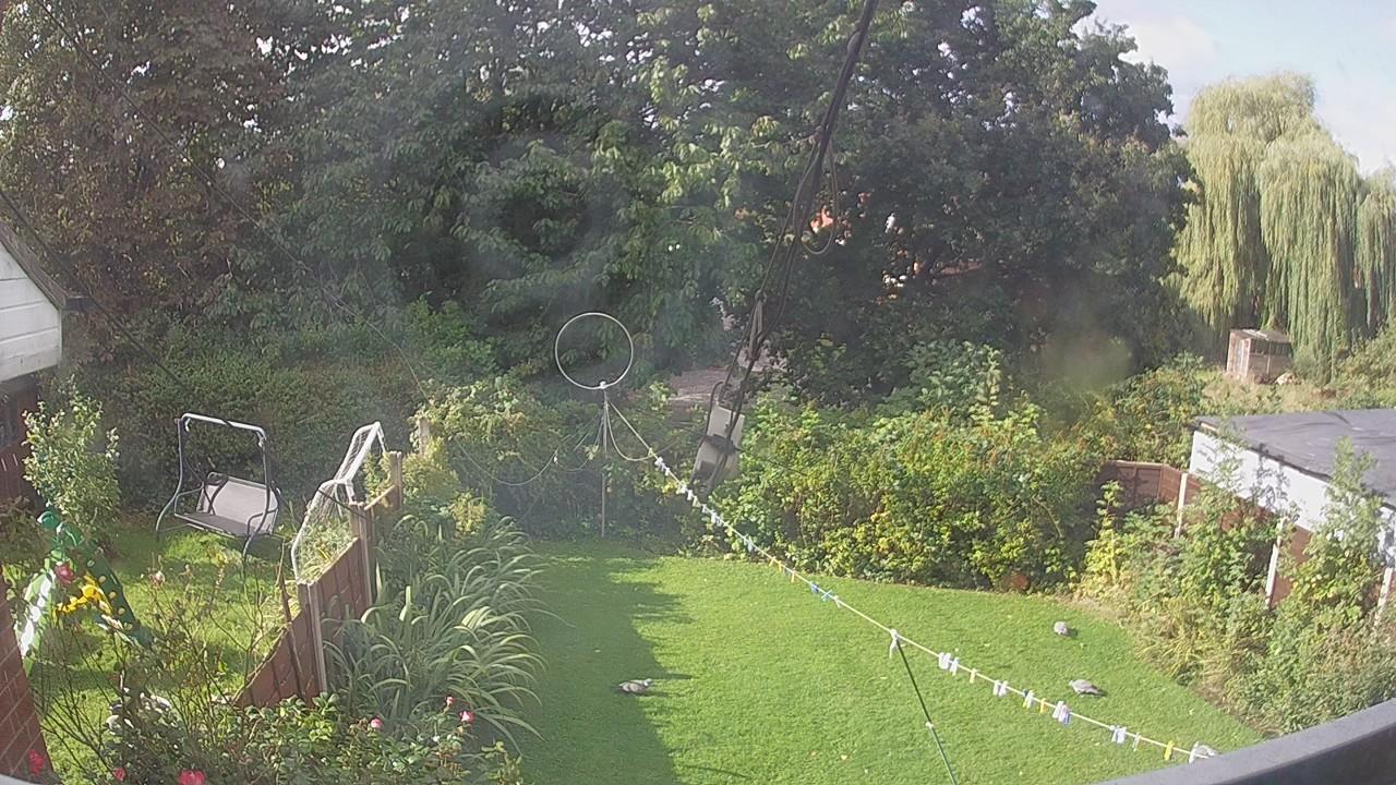 20260905_085238_cam1.jpg