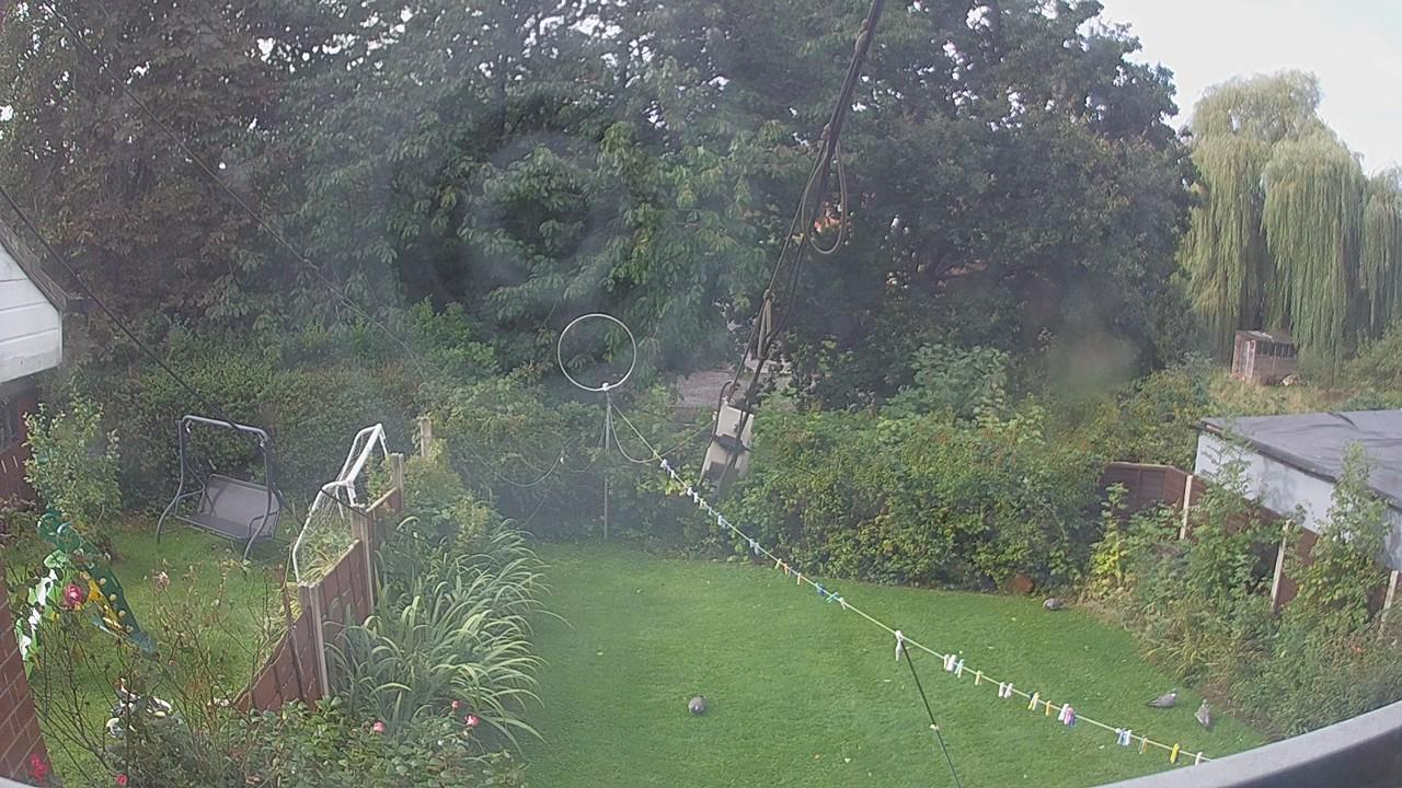 20260905_085629_cam1.jpg