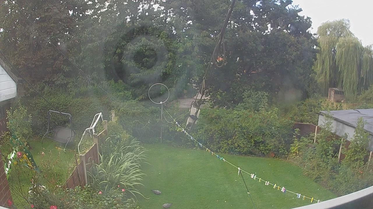 20260905_090259_cam1.jpg