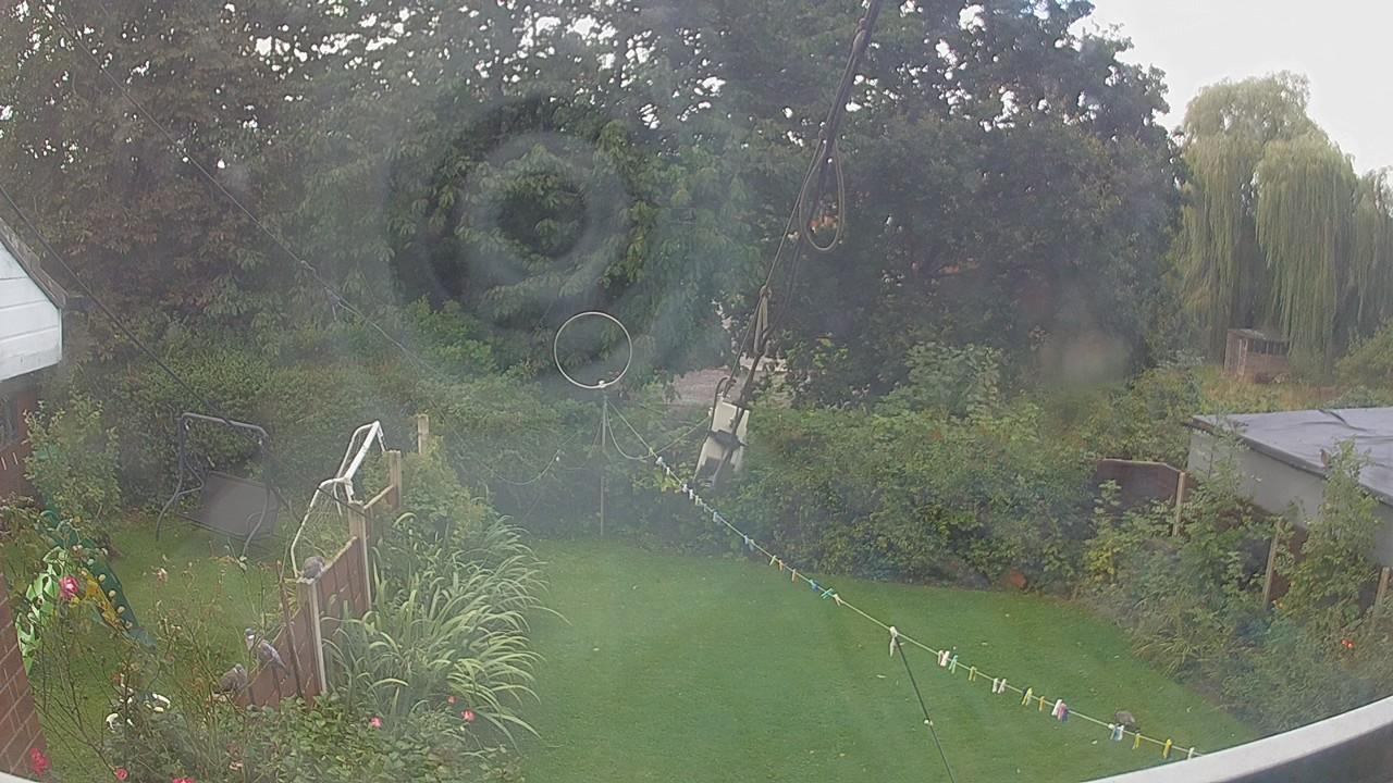 20260905_090614_cam1.jpg