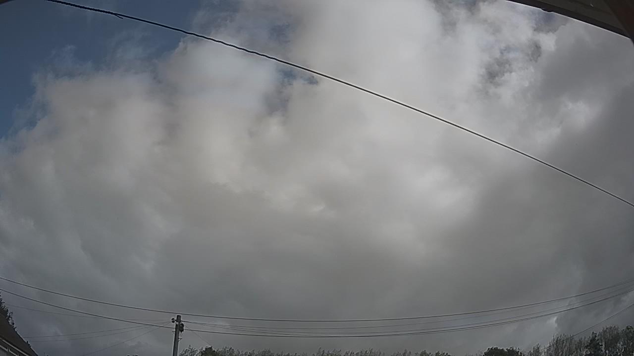 20260905_093922_cam2.jpg