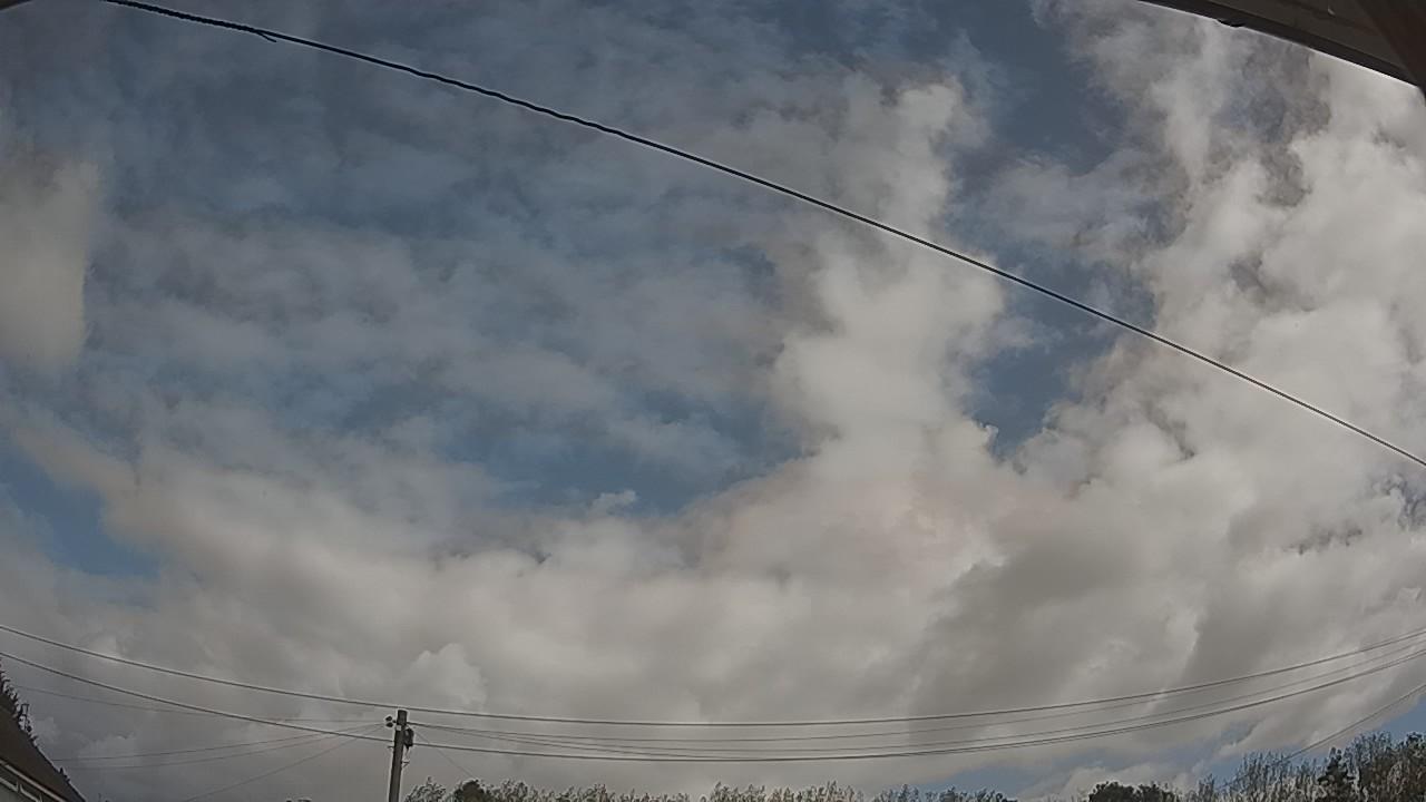 20260905_100236_cam2.jpg