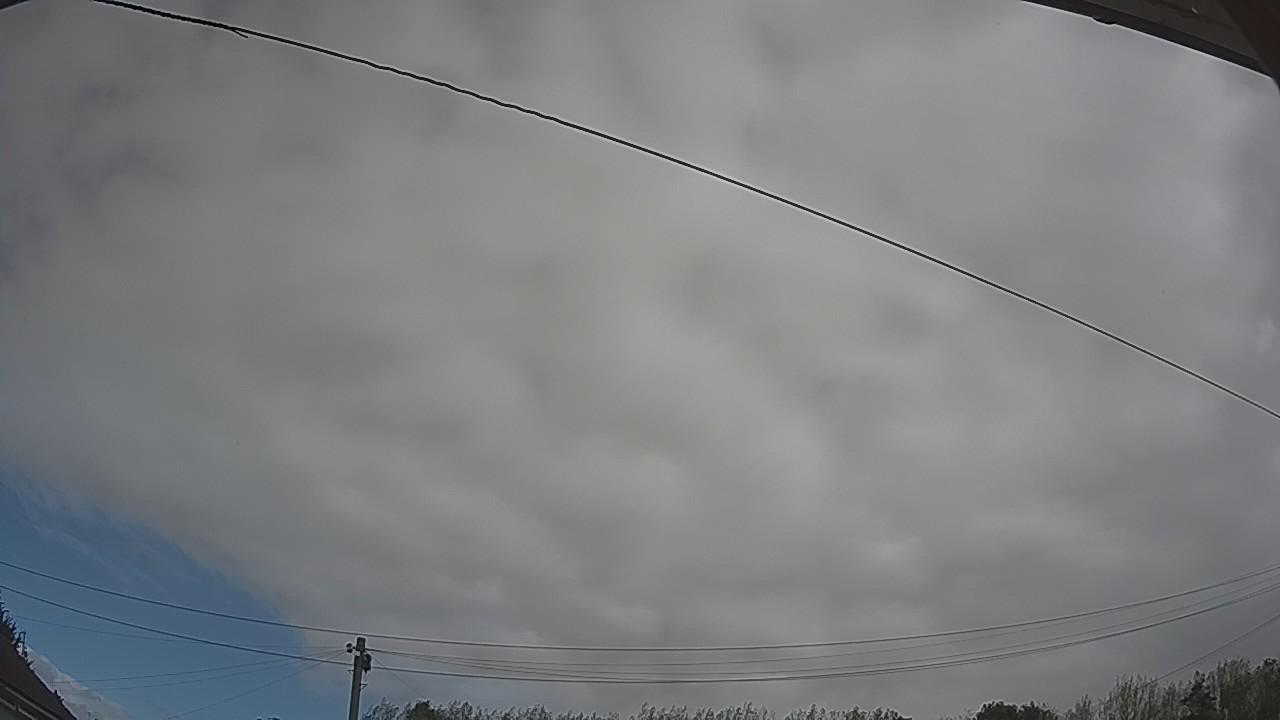 20260905_110129_cam2.jpg