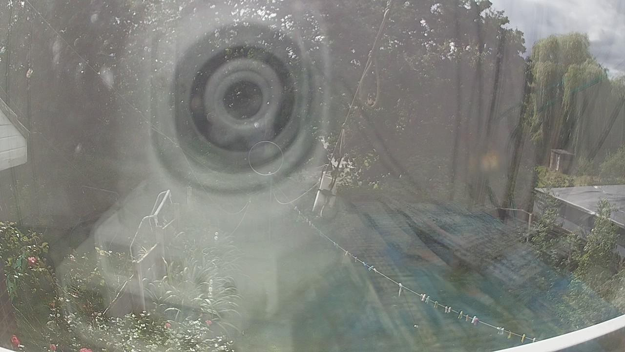 20260905_124633_cam1.jpg