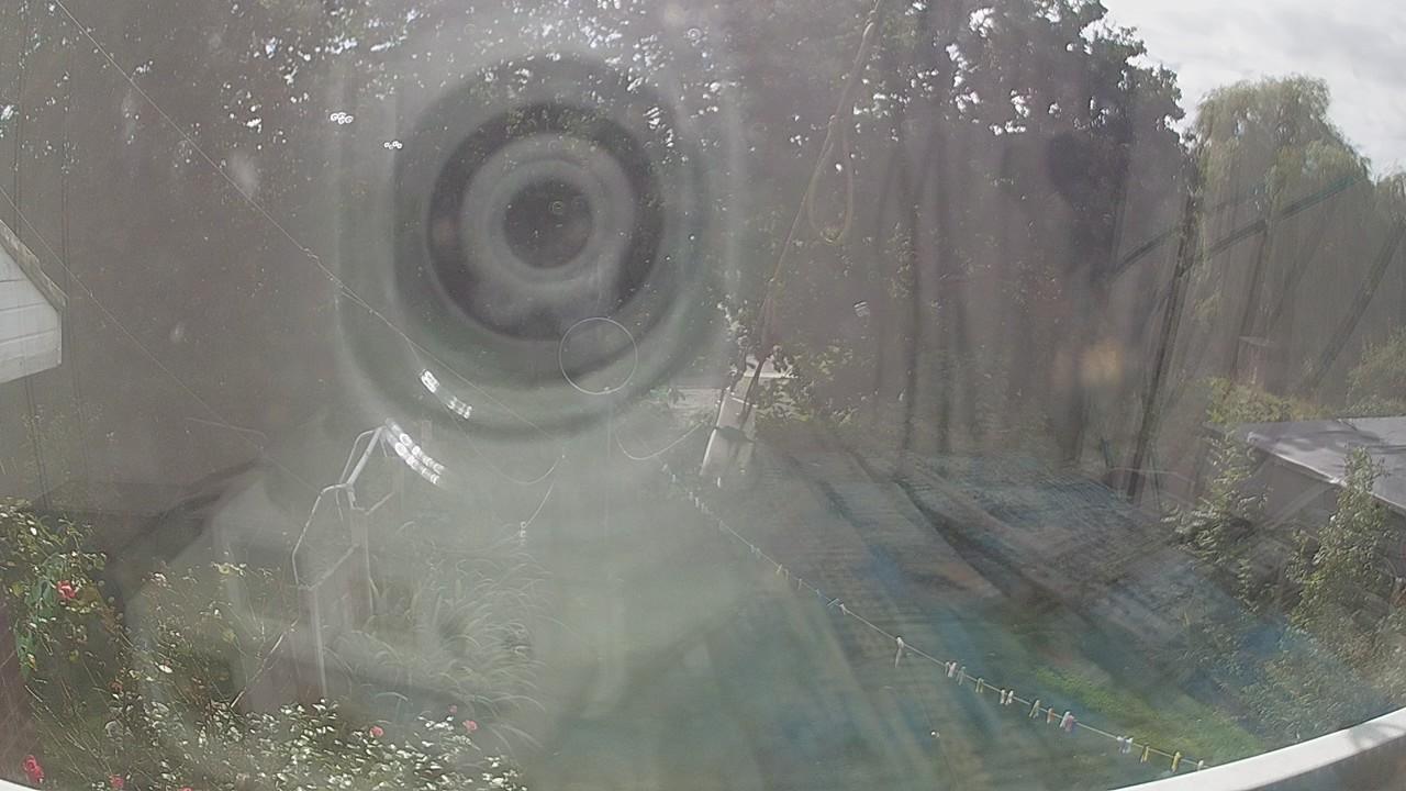 20260905_133924_cam1.jpg