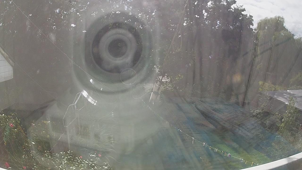 20260905_134257_cam1.jpg
