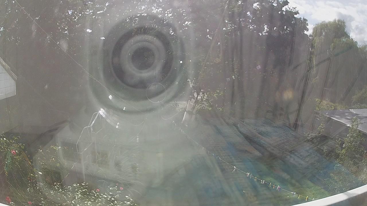 20260905_134629_cam1.jpg