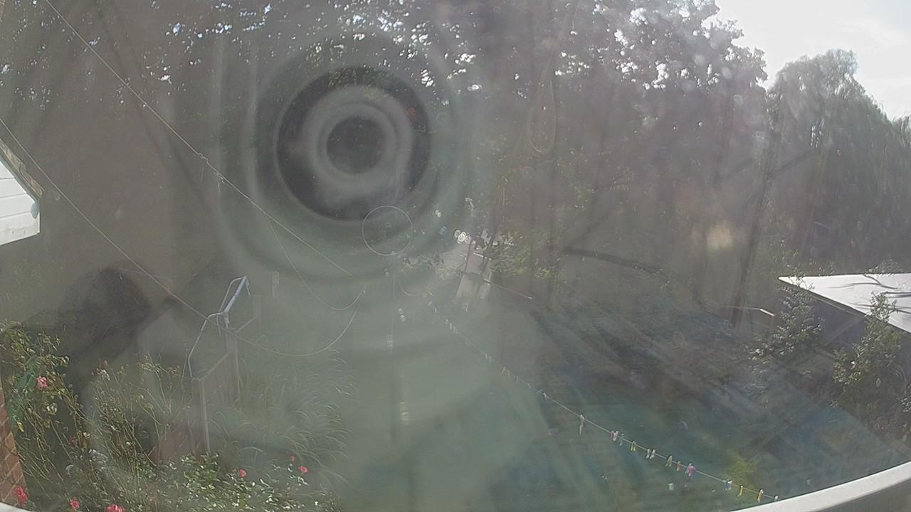 20260905_154459_cam1.jpg