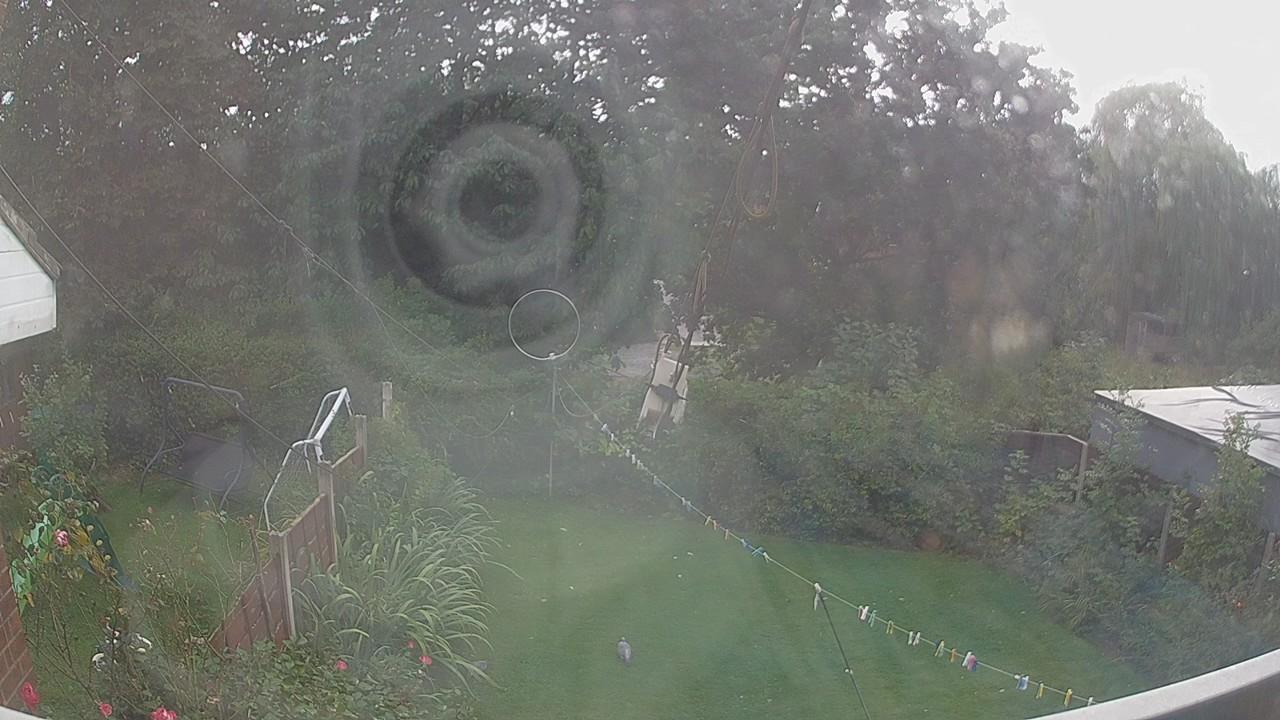 20260905_160804_cam1.jpg