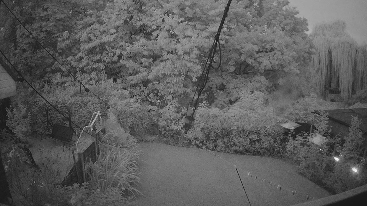 20260906_045320_cam1.jpg