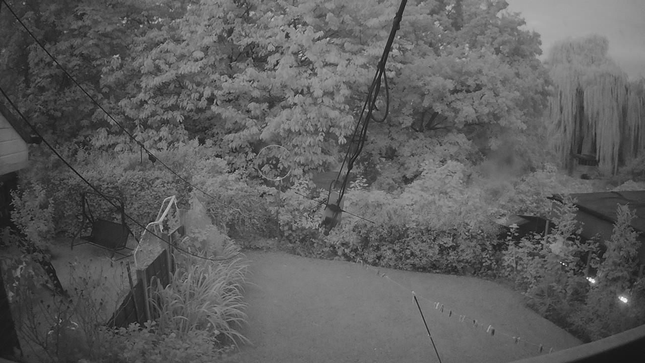 20260906_045806_cam1.jpg