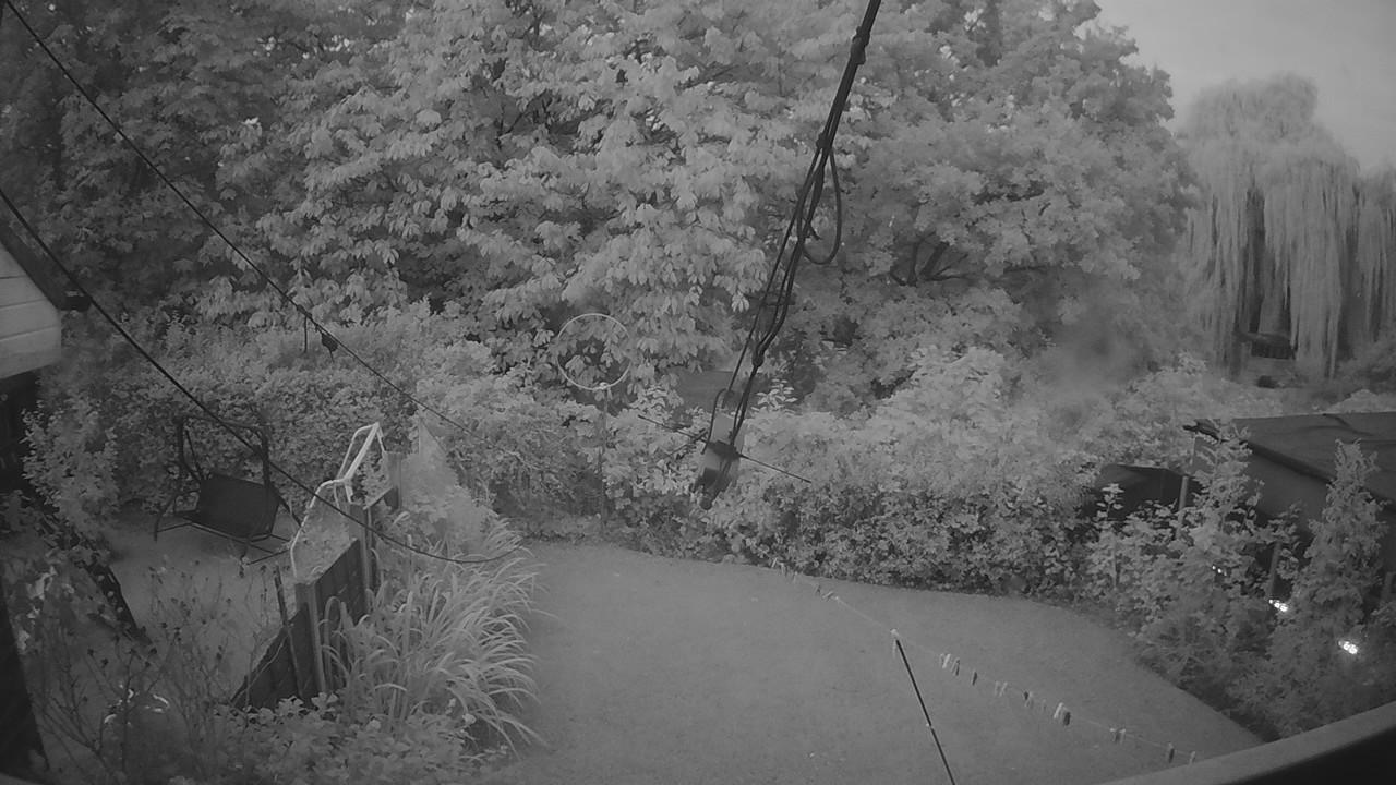 20260906_050242_cam1.jpg