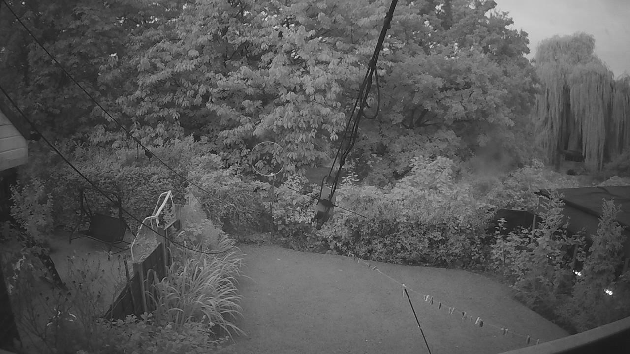 20260906_050717_cam1.jpg