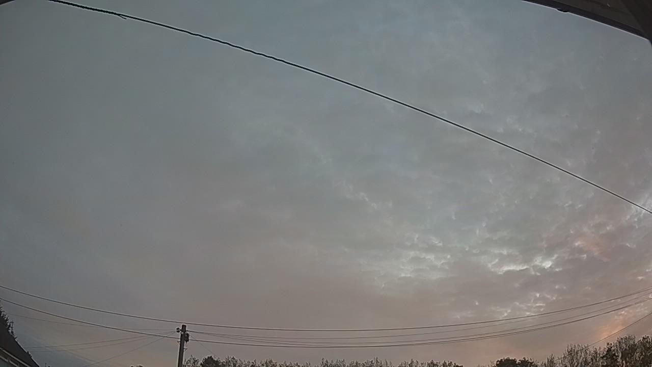 20260906_053019_cam2.jpg