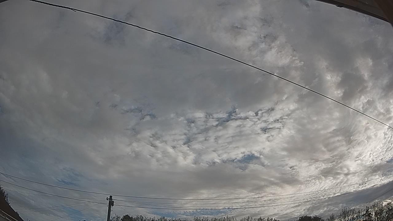 20260906_063502_cam2.jpg