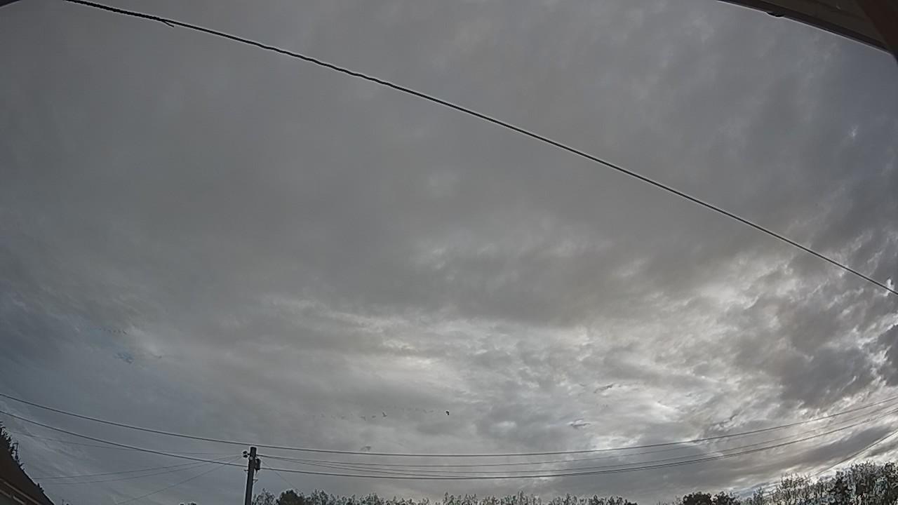 20260906_064916_cam2.jpg