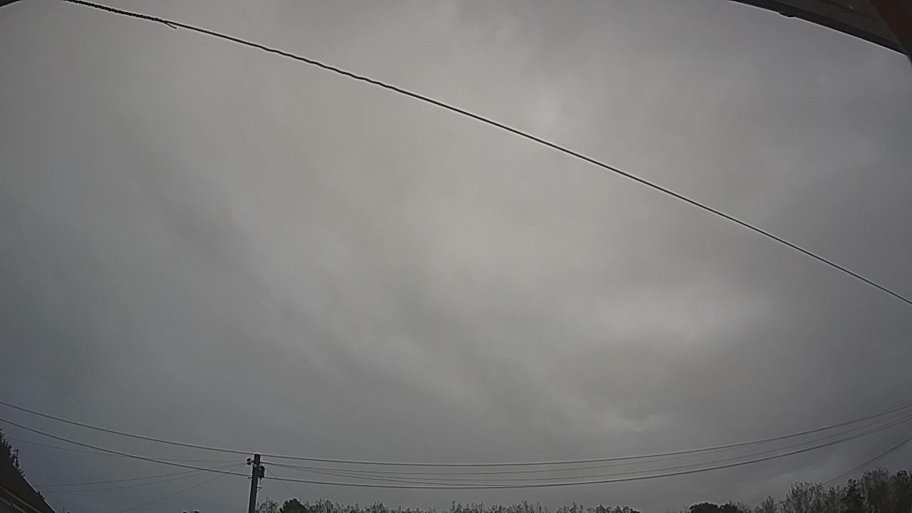 20260906_082003_cam2.jpg
