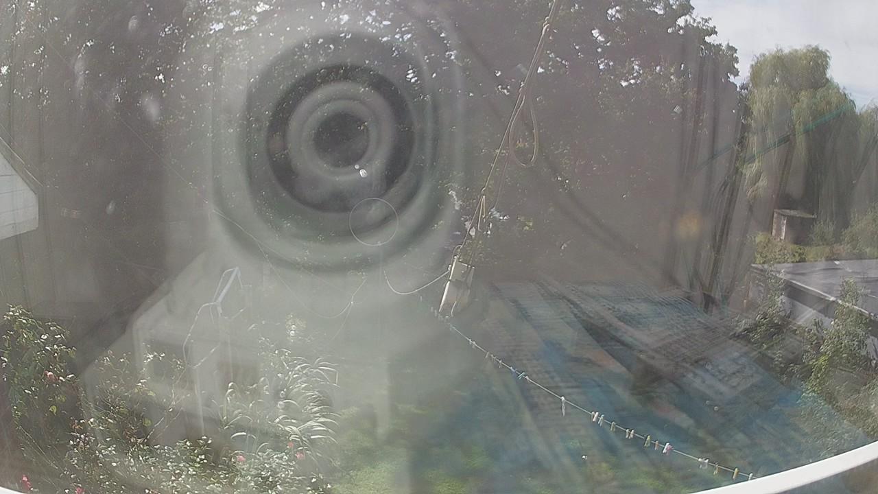 20260906_122137_cam1.jpg