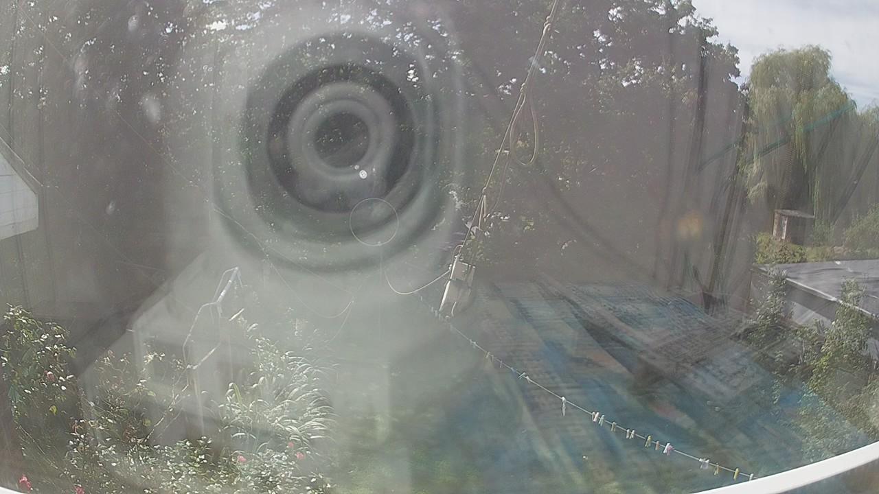 20260906_122945_cam1.jpg