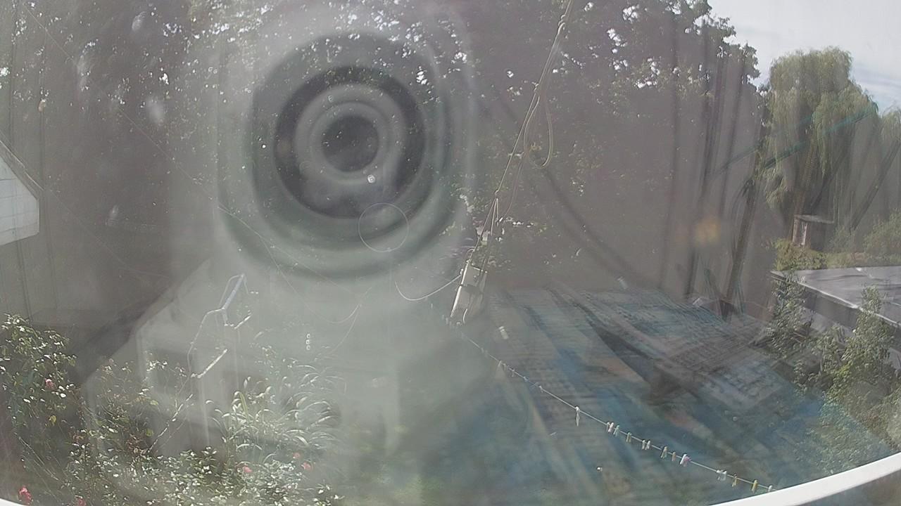 20260906_123744_cam1.jpg