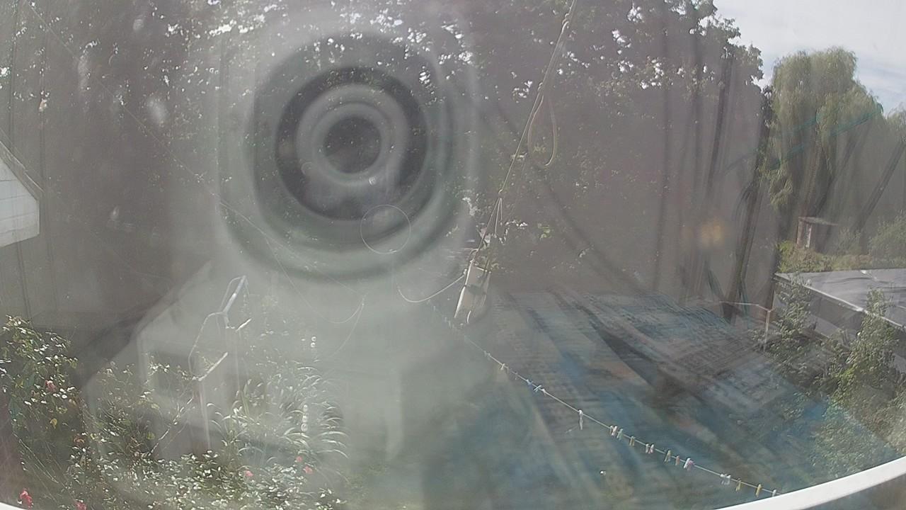 20260906_124543_cam1.jpg