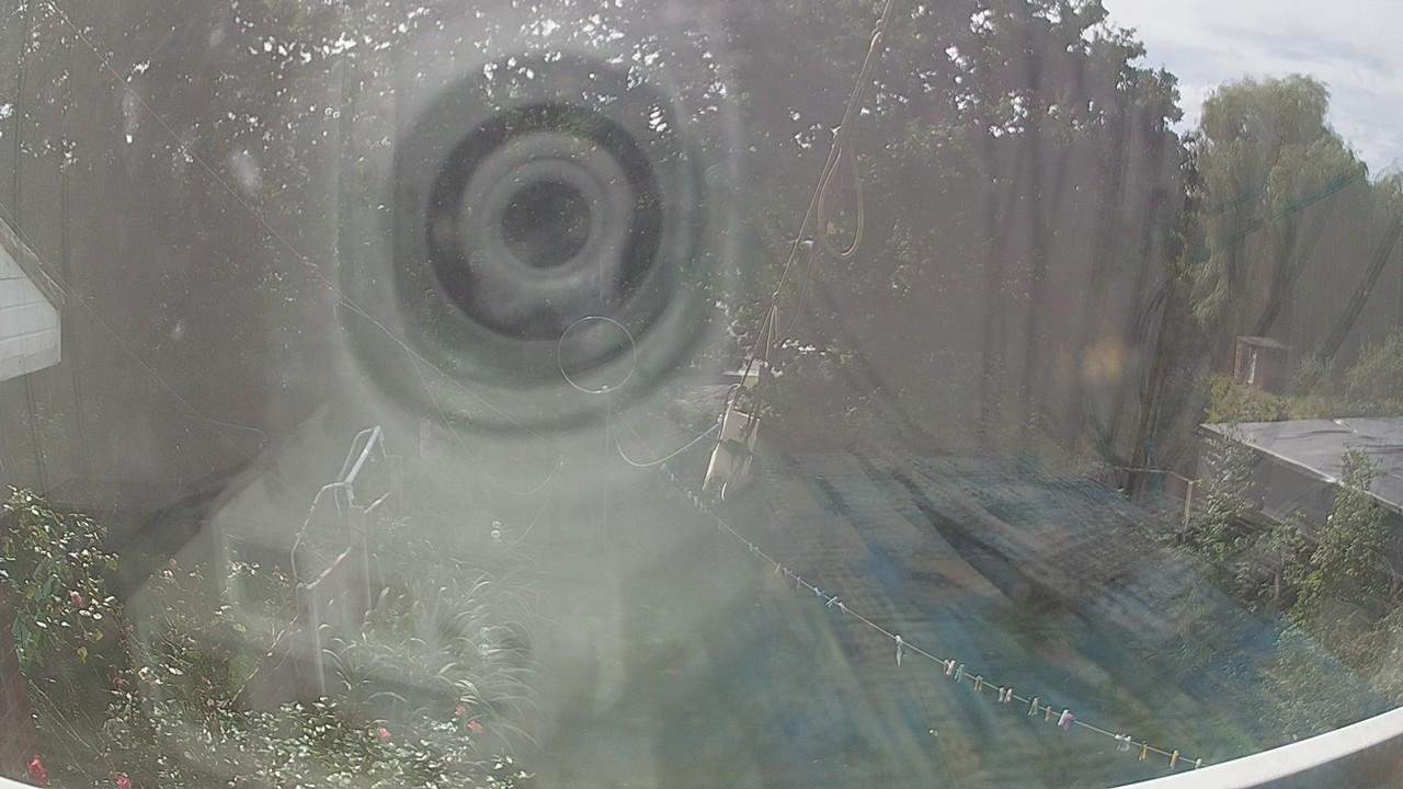 20260906_130153_cam1.jpg