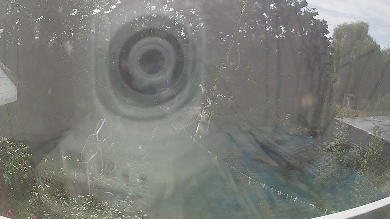20260906_131422_cam1.jpg