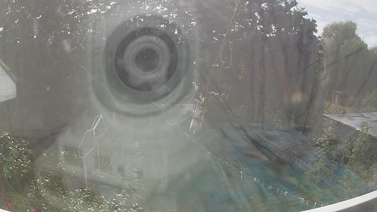 20260906_132241_cam1.jpg