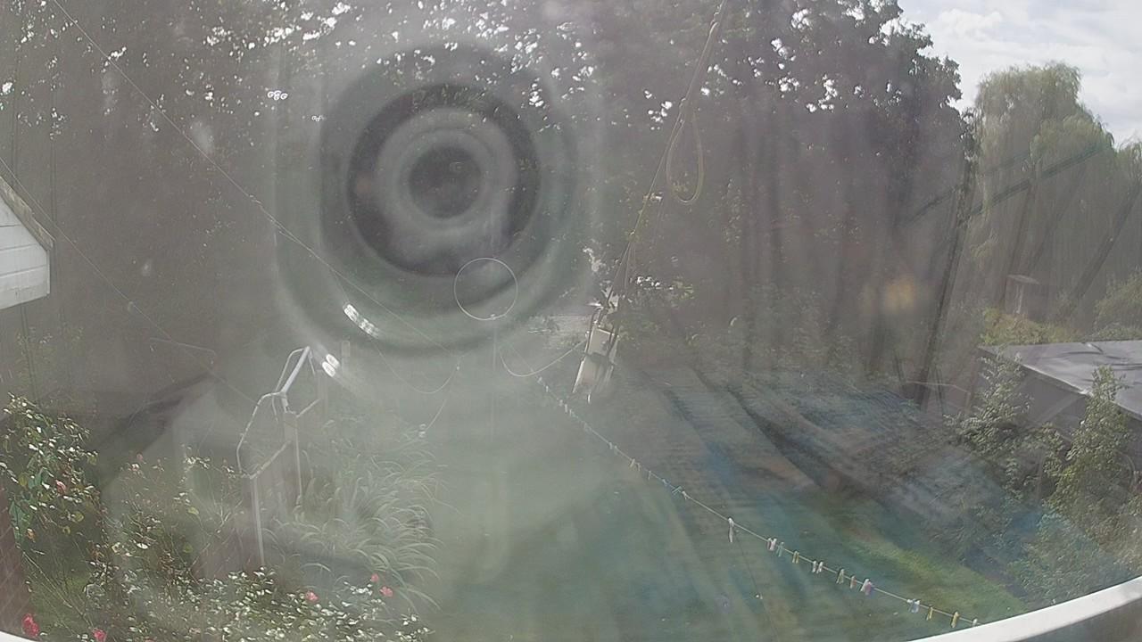 20260906_133451_cam1.jpg