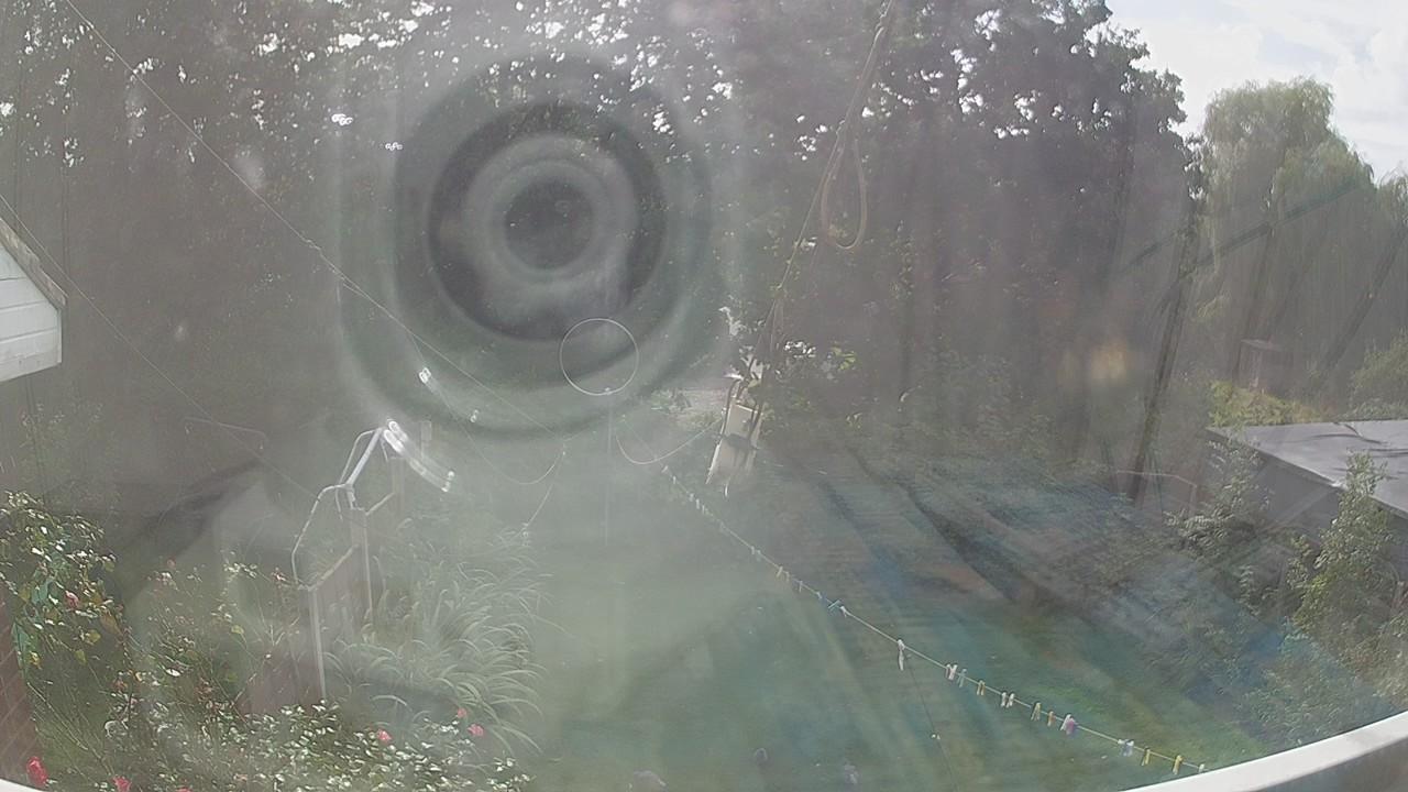 20260906_134253_cam1.jpg