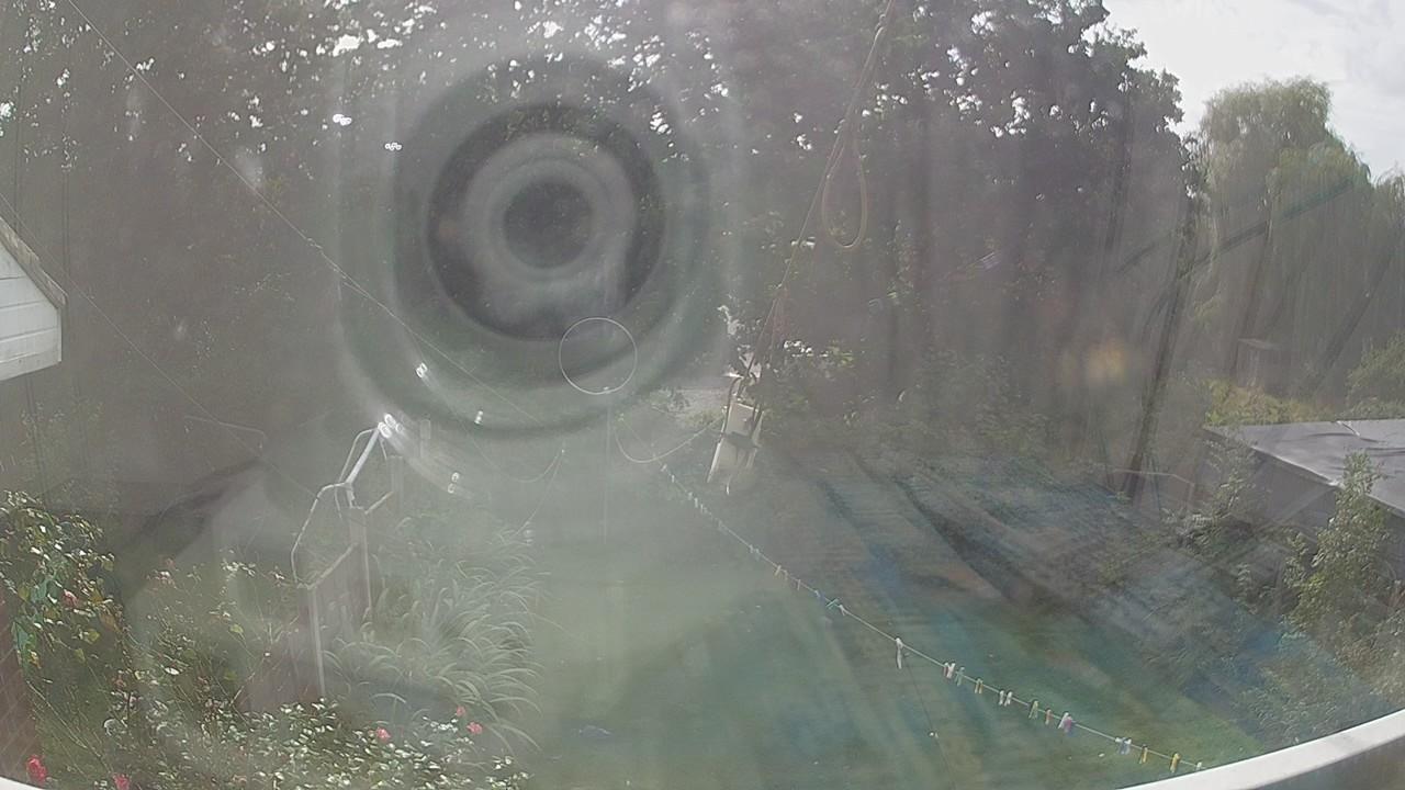 20260906_134653_cam1.jpg