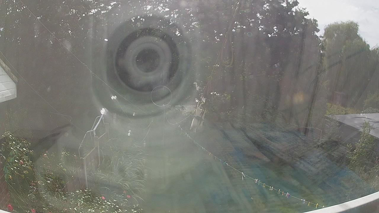 20260906_135853_cam1.jpg