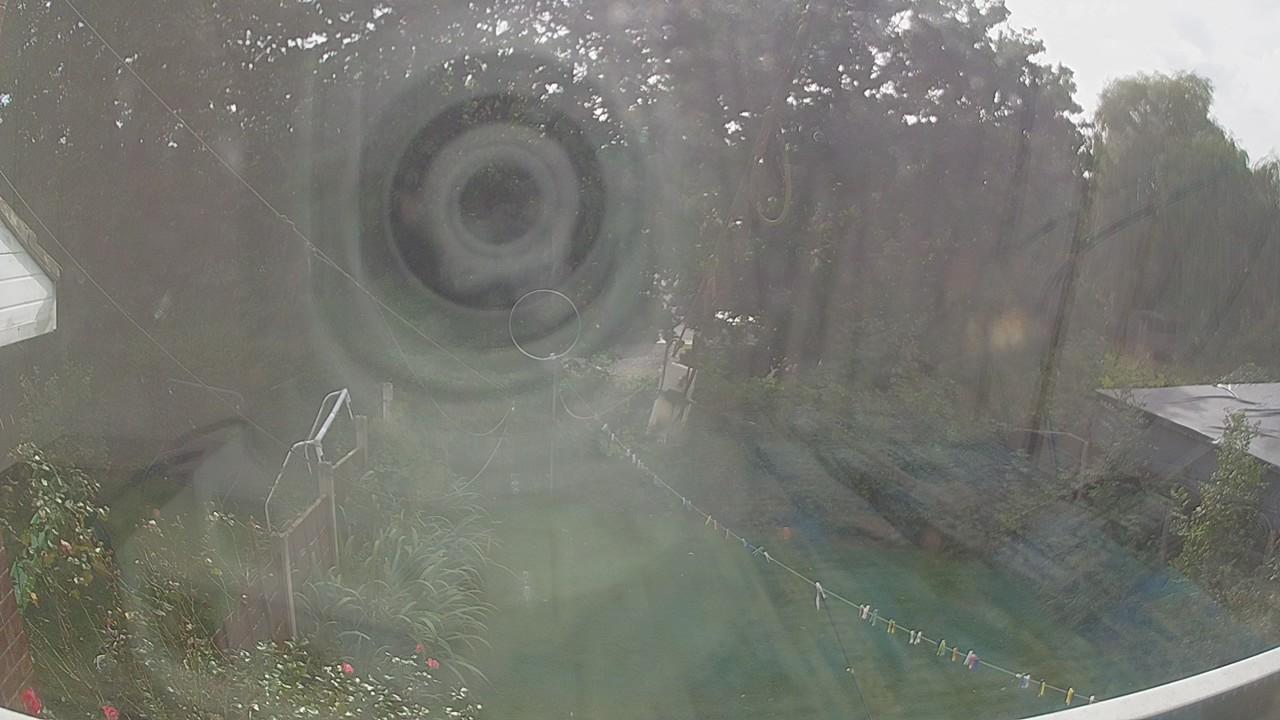 20260906_144603_cam1.jpg