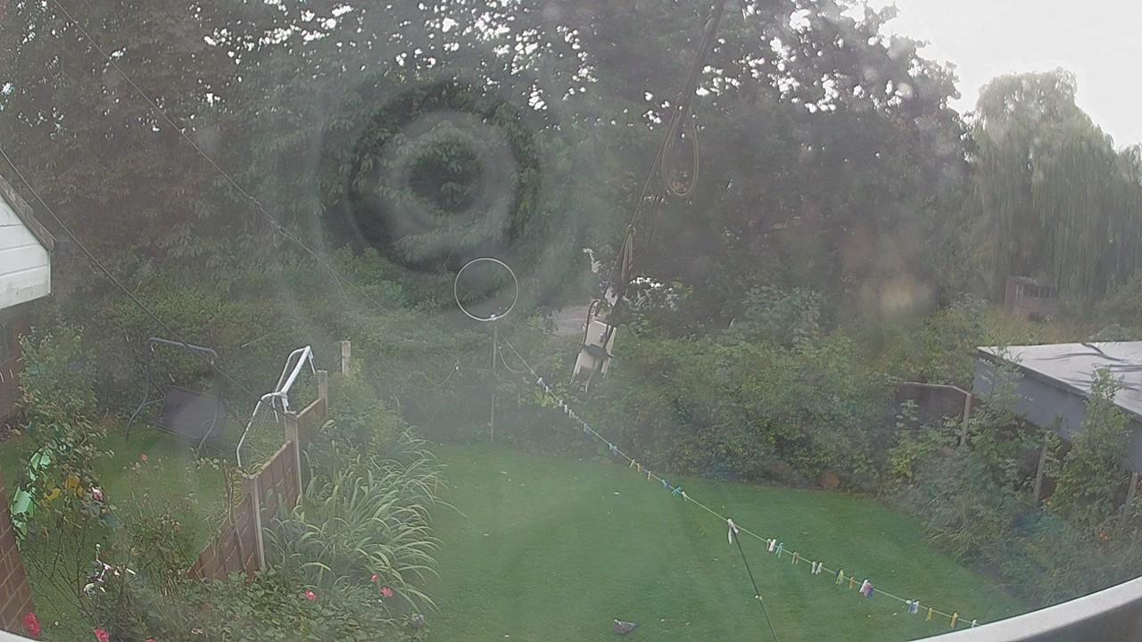 20260906_160708_cam1.jpg