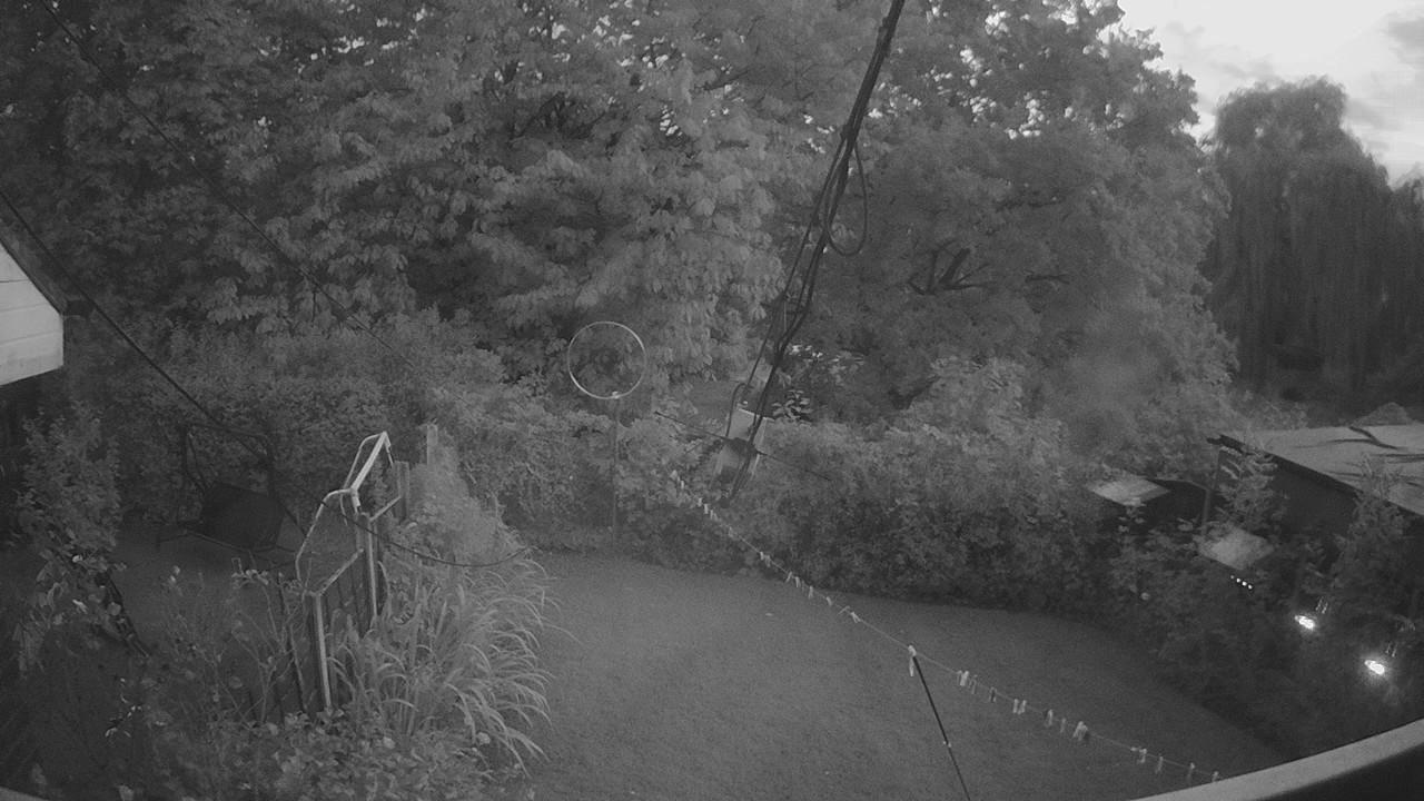 20260906_191424_cam1.jpg