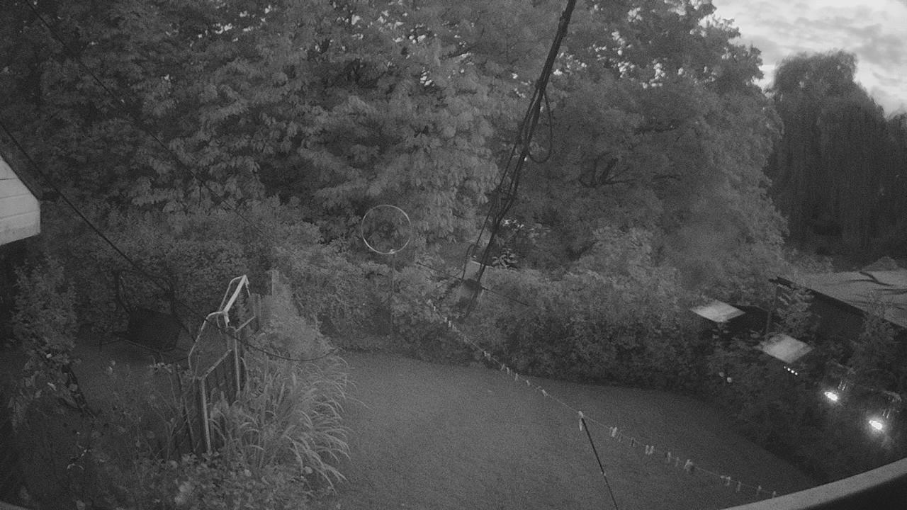 20260906_191900_cam1.jpg