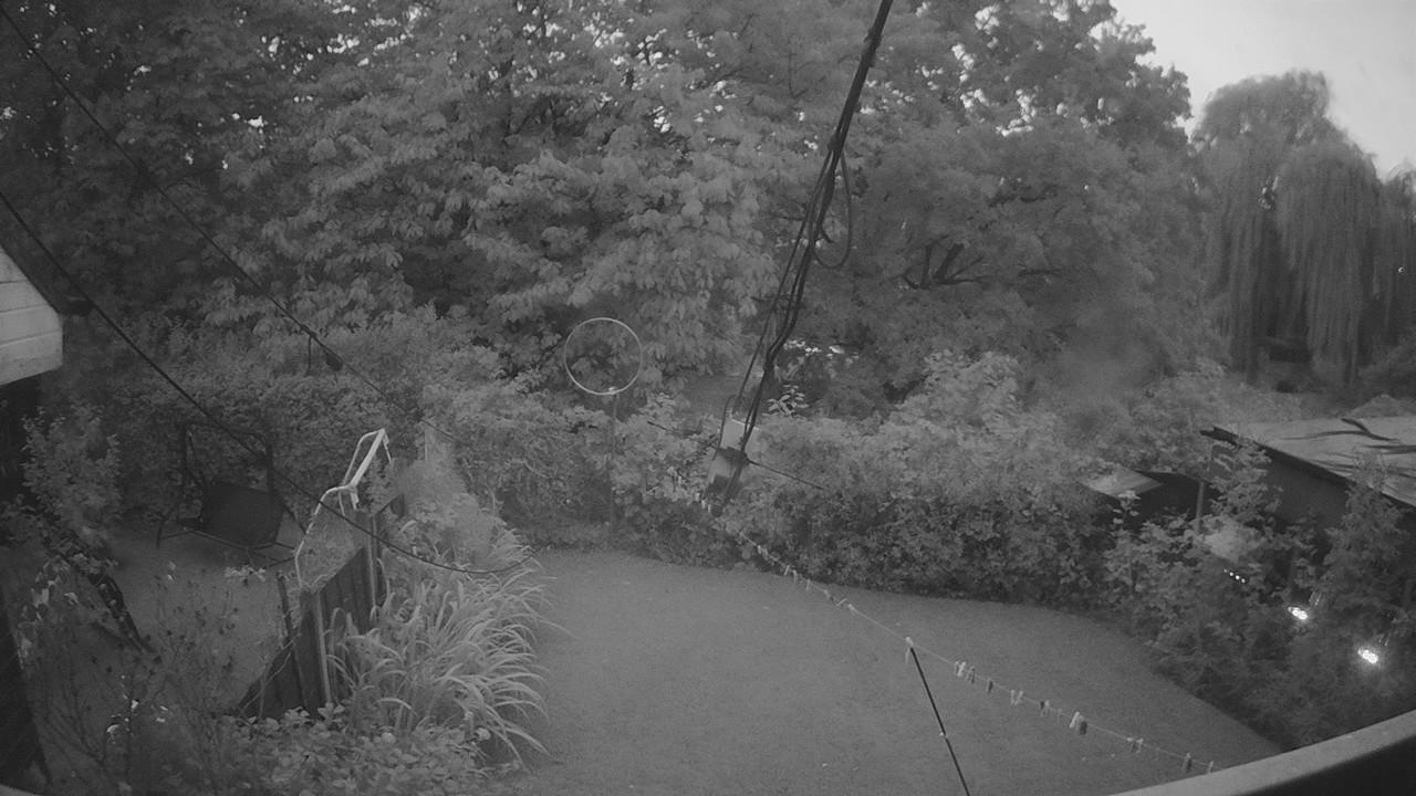 20260907_051709_cam1.jpg