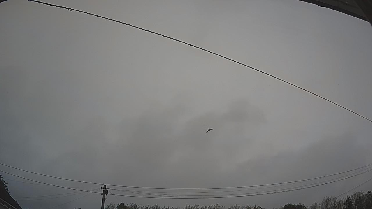 20260907_055623_cam2.jpg
