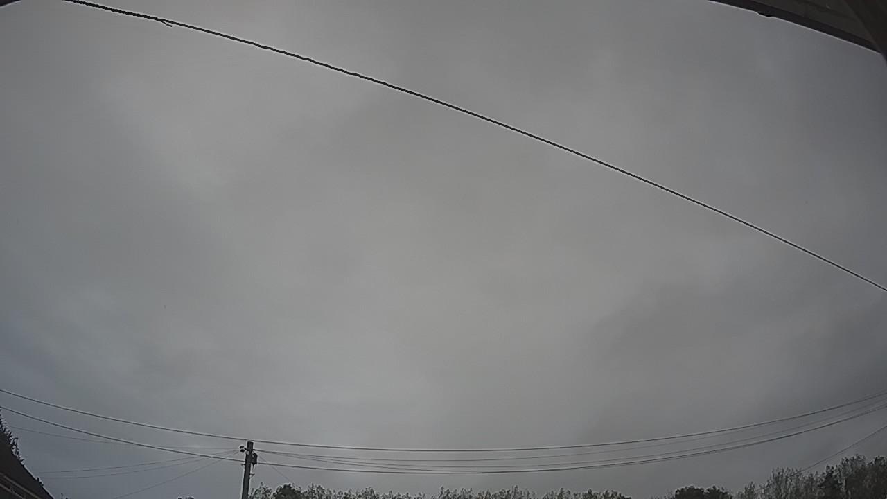20260907_080037_cam2.jpg