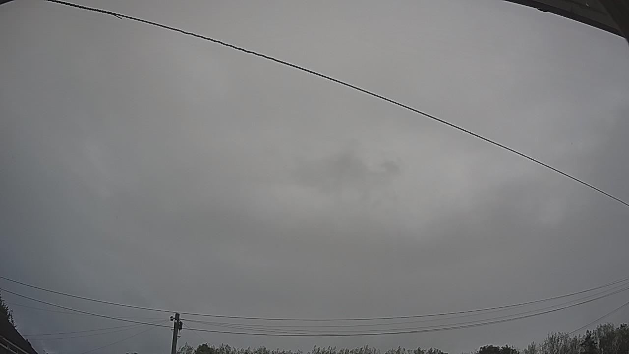 20260907_081824_cam2.jpg