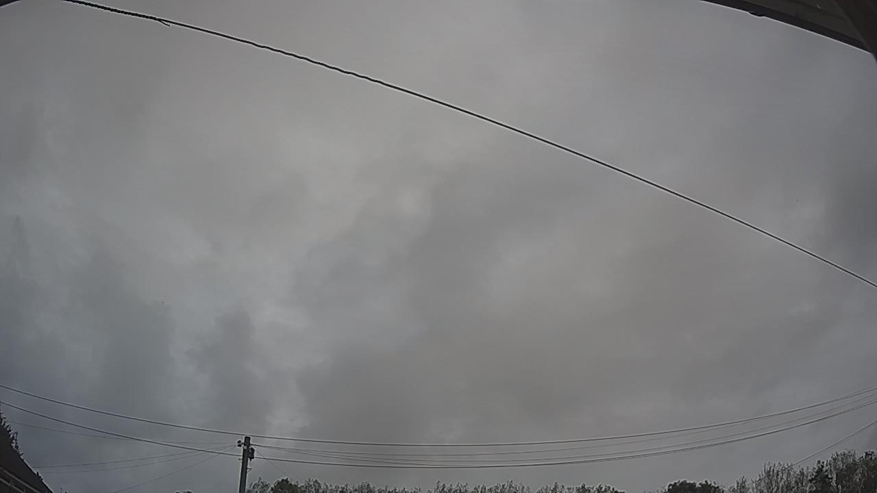 20260907_084039_cam2.jpg