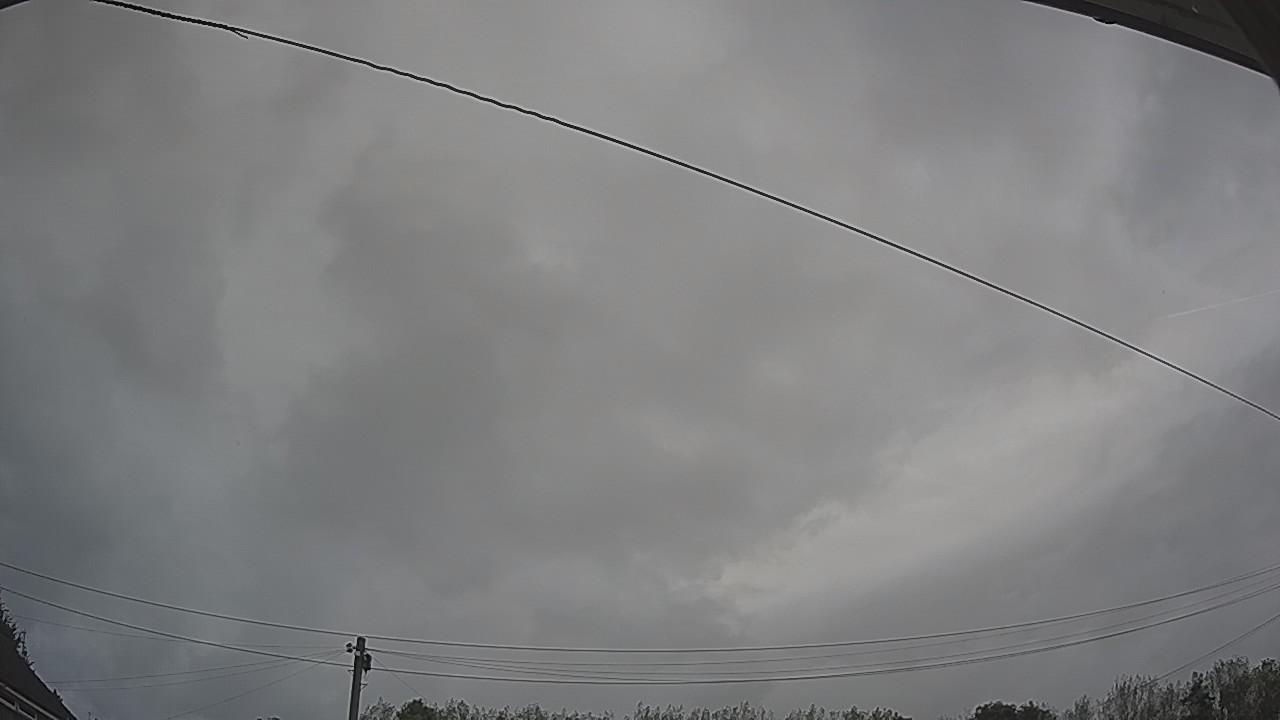 20260907_084931_cam2.jpg