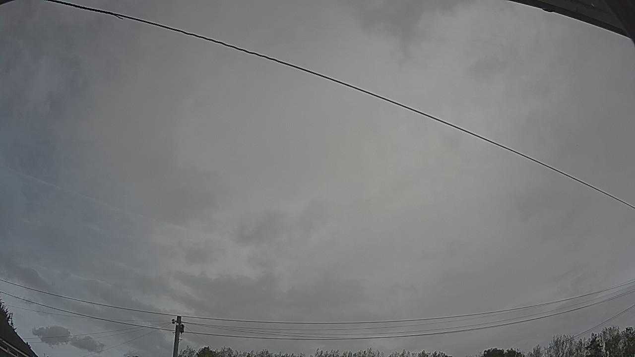20260907_094201_cam2.jpg