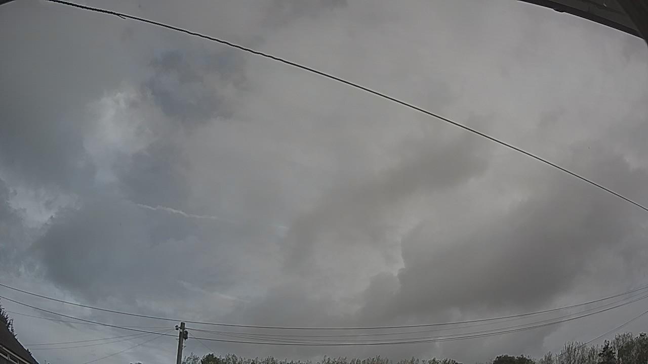 20260907_095001_cam2.jpg